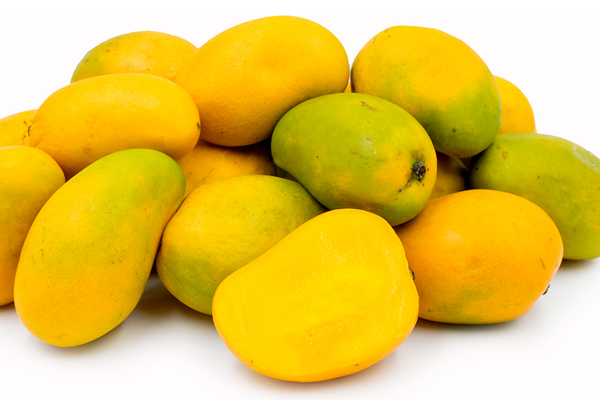 Mango Baby Colombia