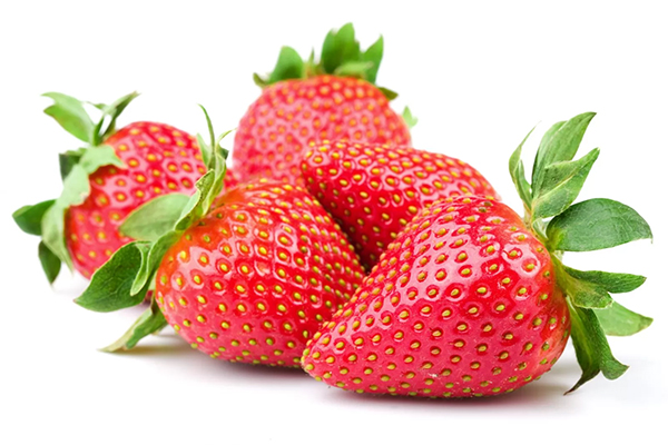 Strawberry Morocco